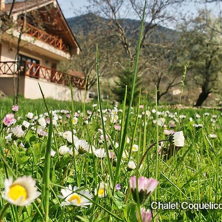 Chalet Coquelicot กาลาวริตา ภายนอก รูปภาพ