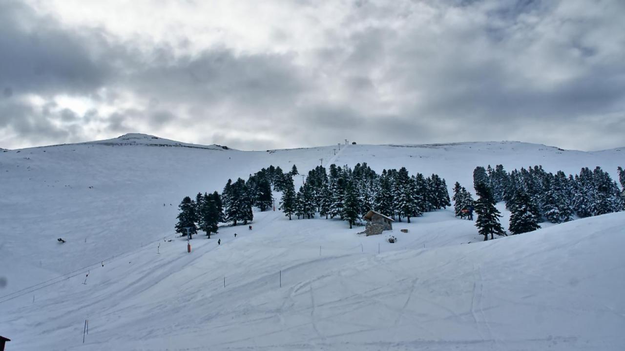 Chalet Coquelicot กาลาวริตา ภายนอก รูปภาพ