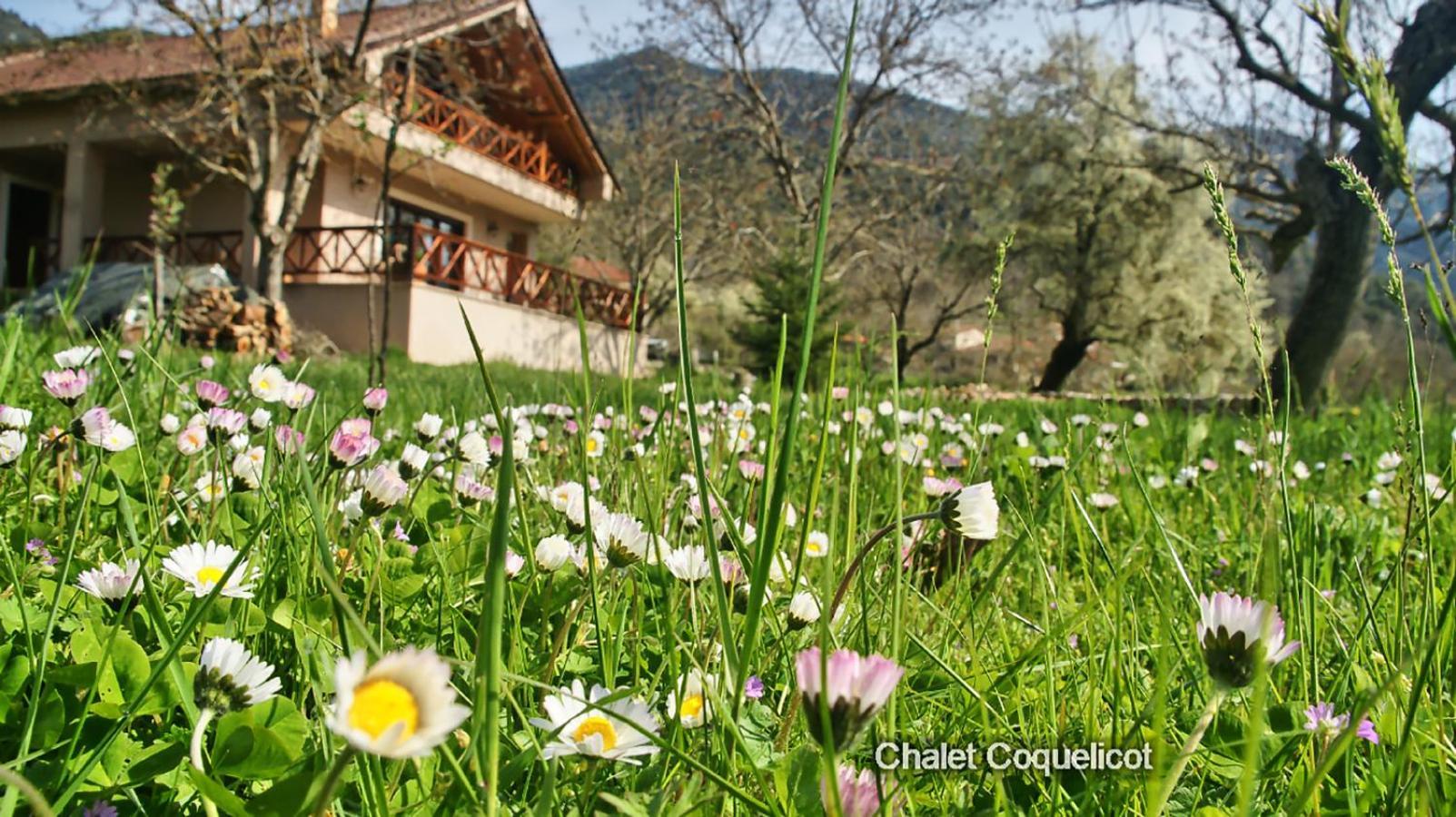 Chalet Coquelicot กาลาวริตา ภายนอก รูปภาพ